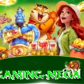 2025fp Gaming Mega